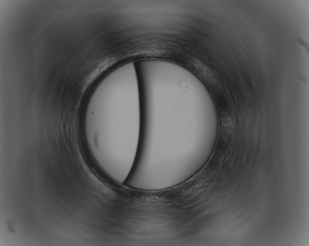 X0000093390734200710111347