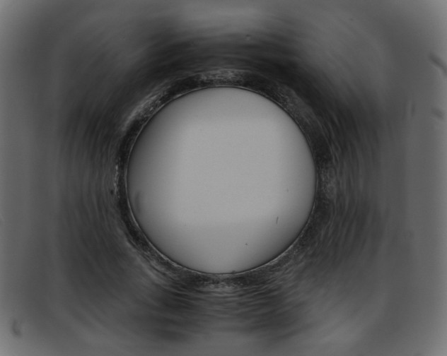 X0000093390735200710111347