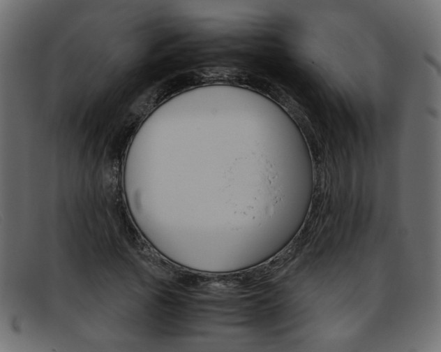 X0000093390737200710111347