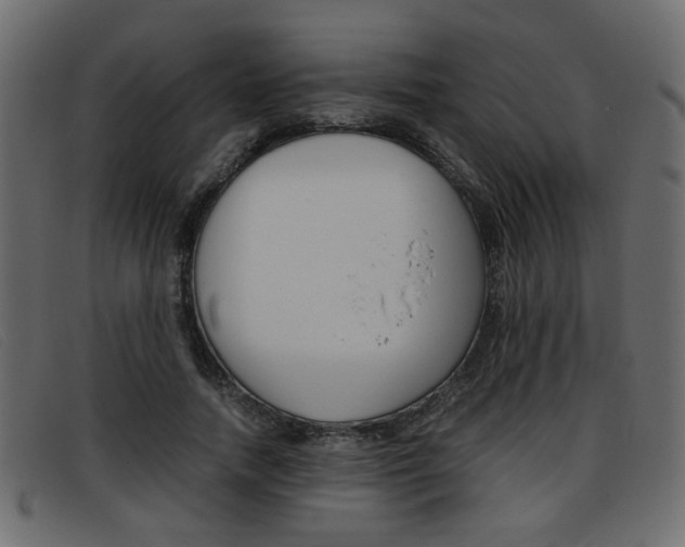 X0000093390738200710111347