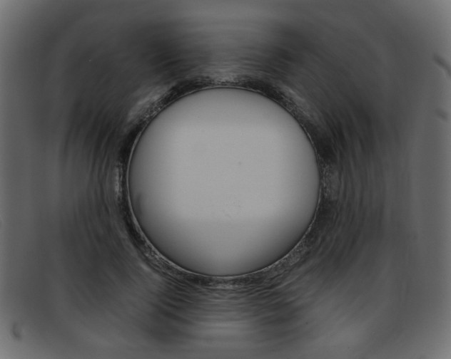 X0000093390740200710111347