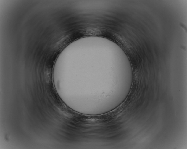 X0000093390741200710111347