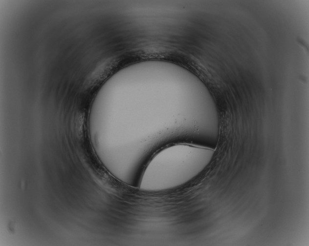 X0000093390742200710111347
