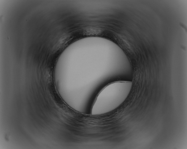 X0000093390743200710111347