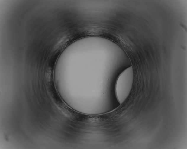 X0000093390744200710111347