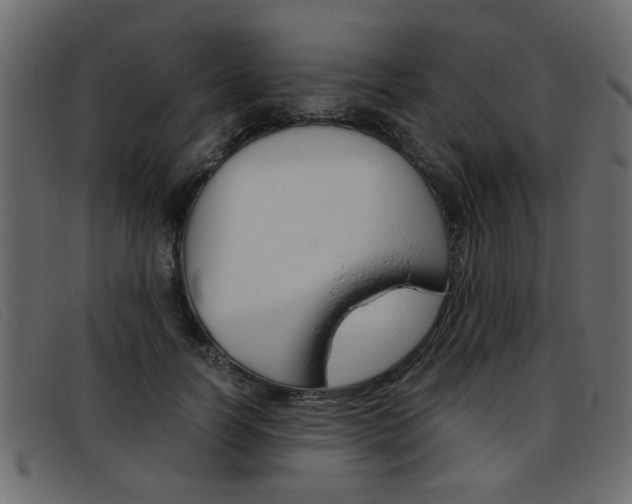 X0000093390746200710111347