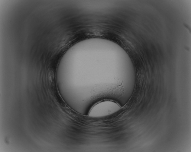 X0000093390747200710111347