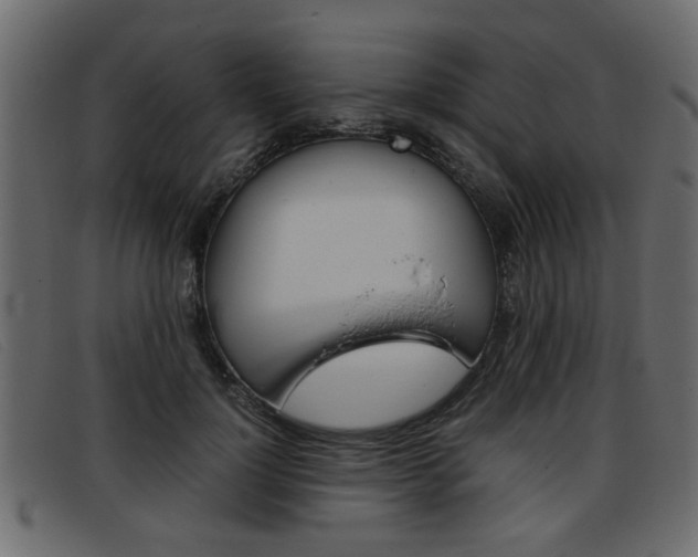 X0000093390748200710111347