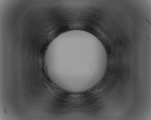 X0000093390749200710111347