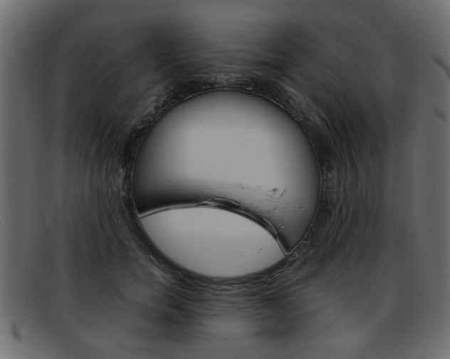 X0000093390750200710111347