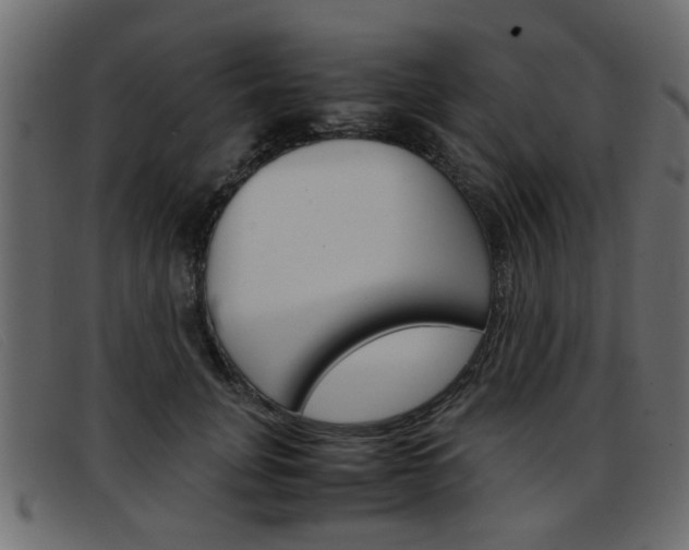 X0000093390751200710111347
