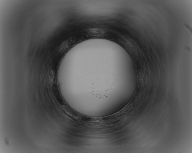 X0000093390752200710111347