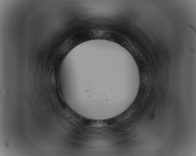 X0000093390754200710111347