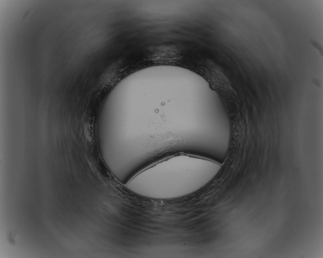 X0000093390755200710111347