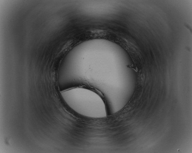 X0000093390756200710111347