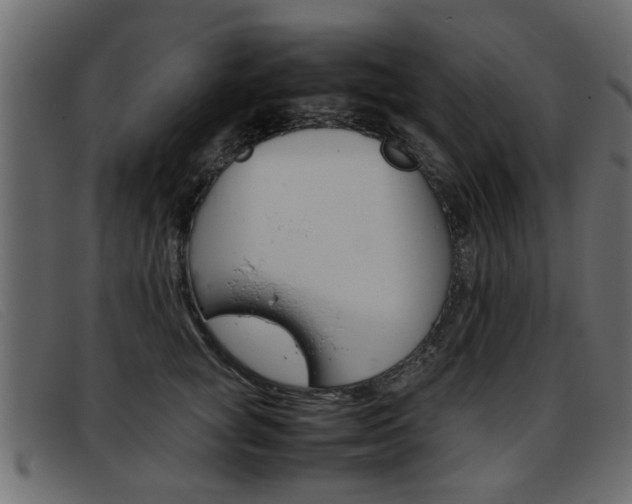 X0000093390757200710111347
