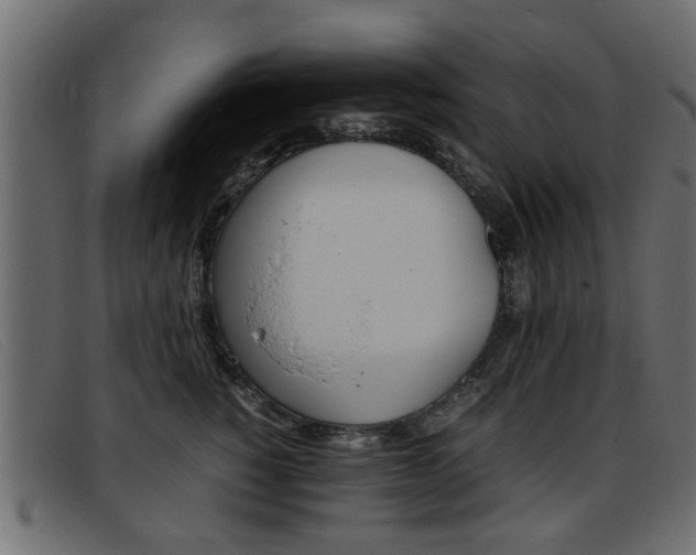 X0000093390760200710111347