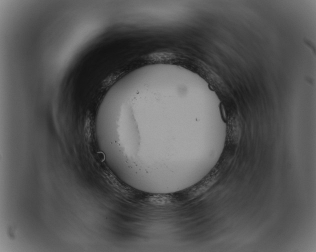 X0000093390762200710111347