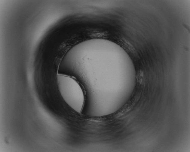 X0000093390763200710111347