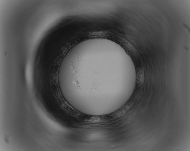 X0000093390764200710111347