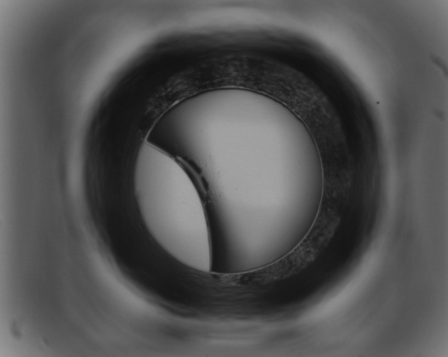 X0000093390766200710111348