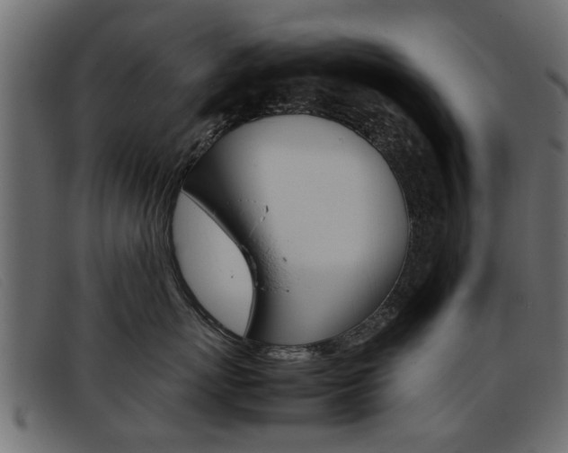 X0000093390767200710111348