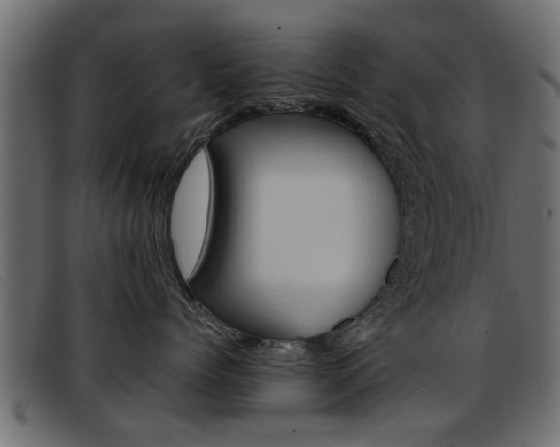 X0000093390768200710111348