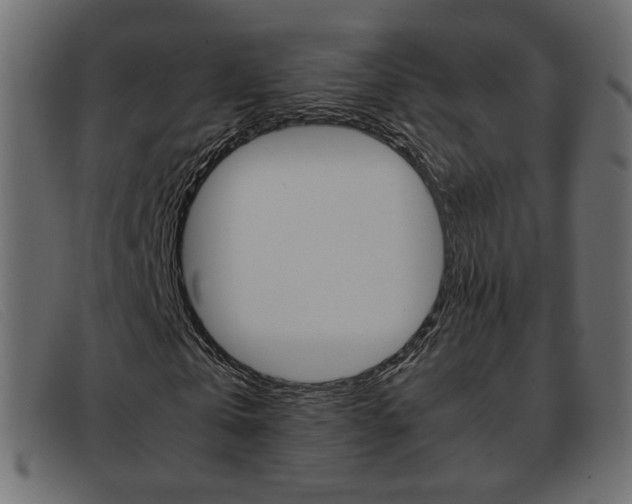 X0000093390769200710111347