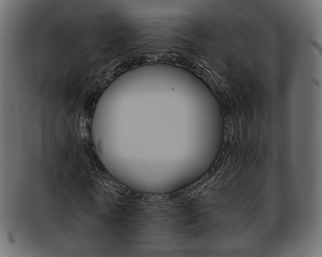 X0000093390770200710111347