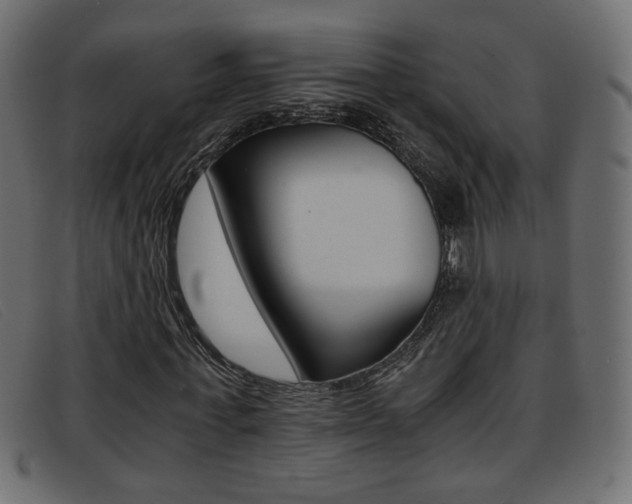 X0000093390771200710111347