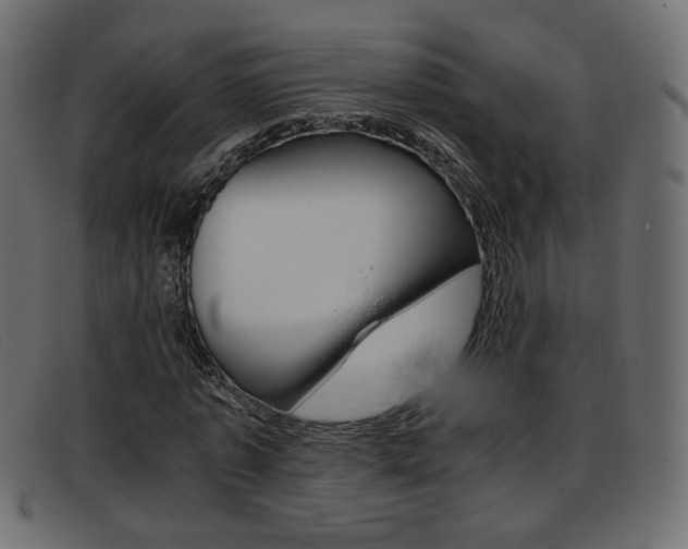 X0000093390773200710111347