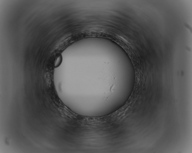 X0000093390774200710111347