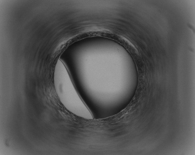X0000093390775200710111347