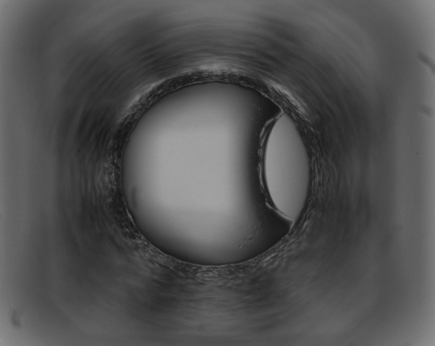 X0000093390776200710111347