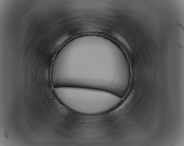 X0000093390777200710111347