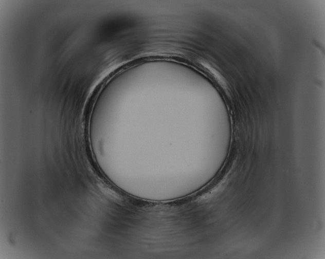 X0000093390779200710111347