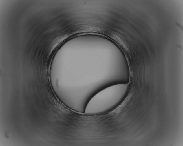 X0000093390781200710111347
