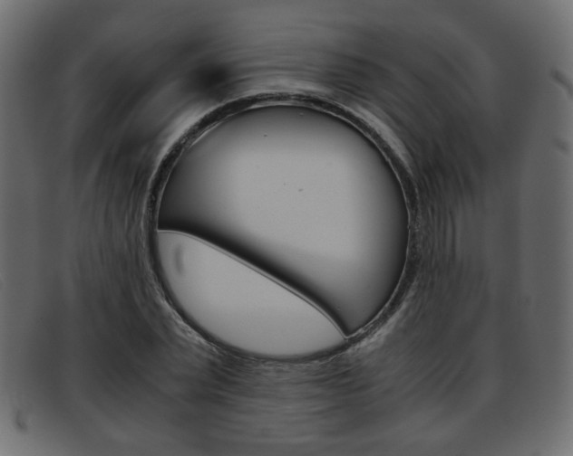 X0000093390783200710111347