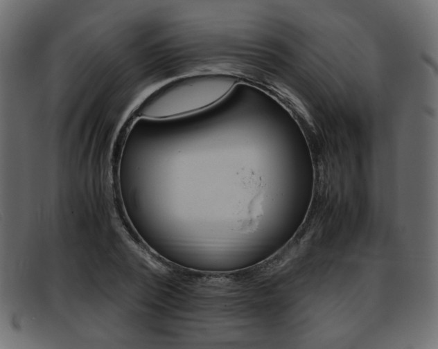 X0000093390784200710111347