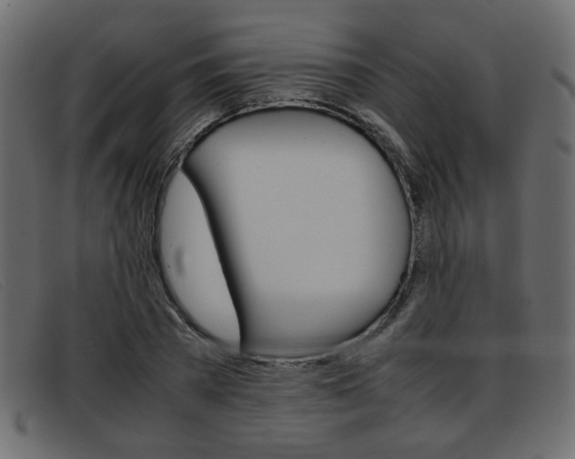 X0000093390785200710111347