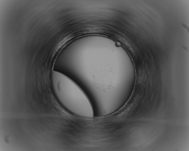 X0000093390786200710111347