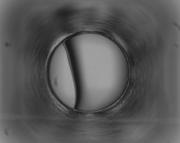 X0000093390787200710111347
