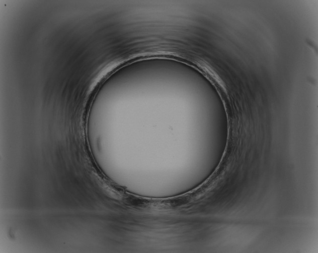 X0000093390789200710111347