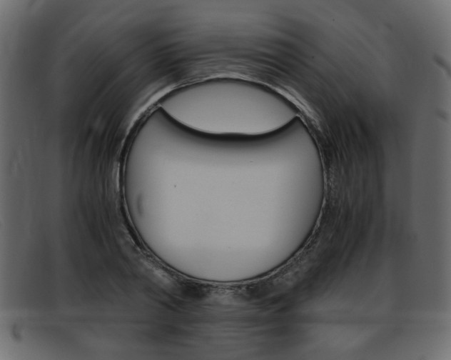 X0000093390790200710111347