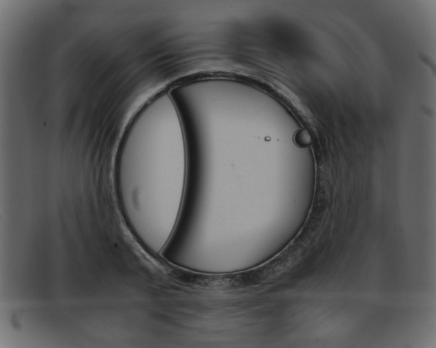 X0000093390791200710111347