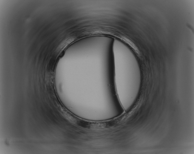 X0000093390793200710111347