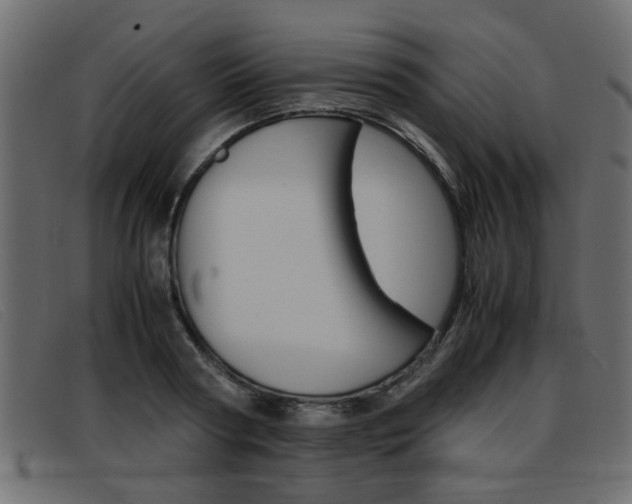X0000093390794200710111347
