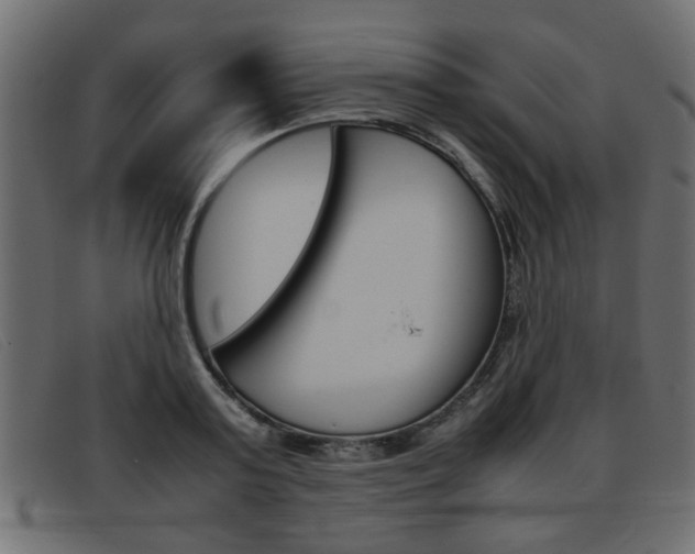 X0000093390795200710111347
