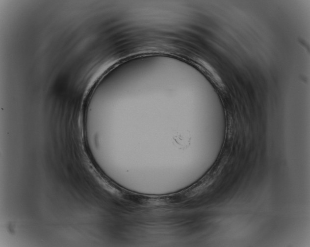X0000093390796200710111347