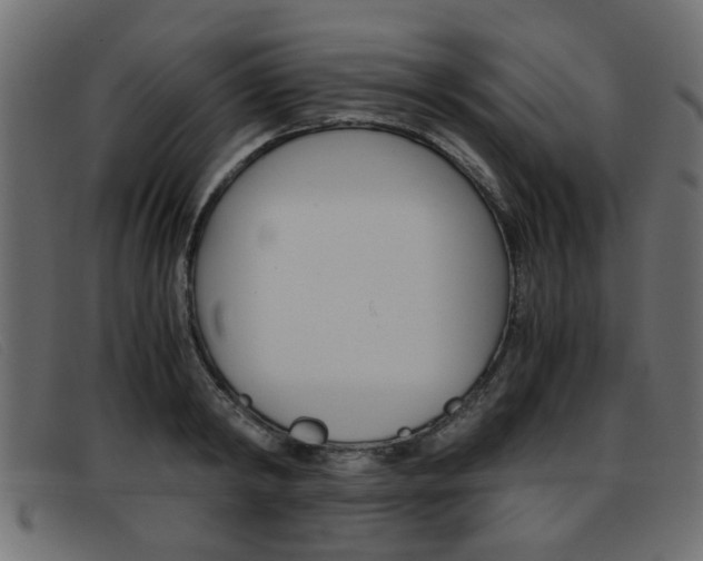 X0000093390798200710111347